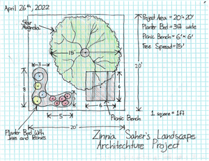 zinnias plan